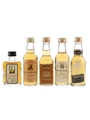 Assorted Blended Scotch Whisky Bottled 1990s 5 x 5cl /