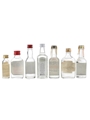Assorted Vodka Eristoff, Huzzar, Kulov, Nemiroff, Relska & Wolfshmidt 7 x 5cl