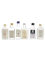 Beltran, Drake's, Drift Gin, Green Fish, Ginebra Artemi & Tann's Bottled 1970s-1980s. 6x 5cl / 40%