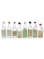 Assorted Greek Ouzo Botrys, Ouzo Dry Aperitif, 12 Year Old, Master's, Haggipavlu, Oyzo Fokiali, Olompic & Mytiahne 8 x 5cl