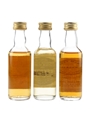 Dalchully 15 Year Old, Inverarity 8 Year Old & Loch Fyne 10 Year Old Bottled 1980s-1990s 3 x 5cl / 40%