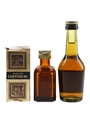 Martell 3 Star VS & Cointreau  2 x 3-5cl / 40%