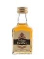 White Heather 5 Year Old Bottled 1970s-1980s 4.7cl / 43%