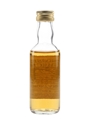 Convalmore 1969 Connoisseurs Choice Bottled 1990s - Gordon & MacPhail 5cl / 40%