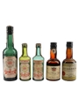 Aalborg Akvavit & Gerner  5 x 5cl-10cl