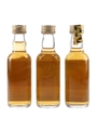 Bowmore 10 Year Old RAF Collection  3 x 5cl / 43%
