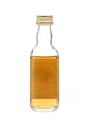 Glenlochy 1974 Connoisseurs Choice Bottled 1990s - Gordon & MacPhail 5cl / 40%