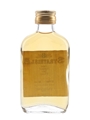 Strathisla 8 Year Old Bottled 1970s - Gordon & MacPhail 5cl / 40%