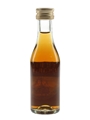 Saint Gilles Rhum Bottled 1980s 3cl / 44%
