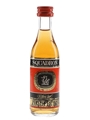 Squadron Blended Dark Rum  5cl