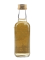 Cardhu 12 Year Old The Whisky Connoisseur 5cl / 40%