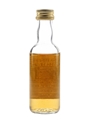 North Port Brechin 1970 Connoisseurs Choice Bottled 1990s - Gordon & MacPhail 5cl / 40%