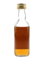 Benrinnes 1968 Connoisseurs Choice Bottled 1980s - Gordon & MacPhail 5cl / 40%