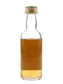 Dailuaine 1971 Connoisseurs Choice Bottled 1990s - Gordon & MacPhail 5cl / 40%