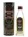 Bushmills 10 Year Old Bottled 1990s 5cl / 40%