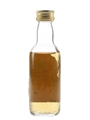 Tamdhu 1969 33 Year Old Bottled 2003 - Hart Brothers 5cl / 40.5%