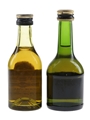 Three Barrels VSOP 5 Star & Martell 3 Star  2 x 5cl / 40%