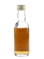 Tamdhu 10 Year Old Bottled 1970s 5cl / 40%