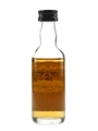 Tomatin 10 Year Old Bottled 1990s 5cl / 43%
