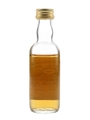 Glencraig 1968 Connoisseurs Choice Bottled 1980s - Gordon & MacPhail 5cl / 40%