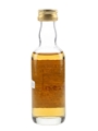 Dailuaine 1971 Connoisseurs Choice Bottled 1990s - Gordon & MacPhail 5cl / 40%