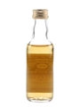 Ledaig 1972 Connoisseurs Choice Bottled 1980s - Gordon & MacPhail 5cl / 40%