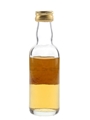 Scapa 1984 Bottled 1994 - Gordon & MacPhail 5cl / 40%