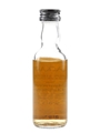 Glenturret 1980 17 Year Old Cask 4906 Bottled 1997 - Blackadder International 5cl / 53.7%
