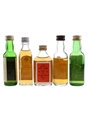 Assorted Blended Whisky Campbeltown Loch, David Maund Guinness Book Of Records, Hankey Bannister, Rob Roy & Whisky Jean 10 Year Old 5 x 5cl