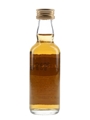 Glengoyne 17 Year Old  5cl / 43%