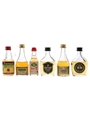 Assorted Brandy Napeoleon, XO, Favori & Seb 6 x 2.5cl-5cl