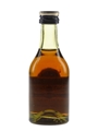 Martell 3 Star VS Bottled 1970s 5cl / 40%