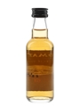 Tomatin 10 Year Old Bottled 1990s 5cl / 43%