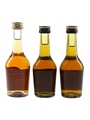 Martell 3 Star VS Bottled 1970s-1980s 3 x 4cl / 40%