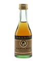 Antonio Nadal Napoleon 12 Year Old Brandy  4cl / 36%