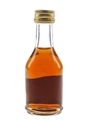 Renault Carte Noire Extra Cognac  2.9cl / 40%