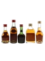 Bisquit 3 Star, Courvoisier 3 Star, 3 Star Luxe, Hine 3 Star & Martell 3 Star VS Bottled 1950s-1970s 5 x 3cl-5cl / 40%