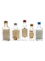 Assorted Gin Gilbey's, Burnett's White Satin, Tann's, Silver Top & Plym Gin 5 x 3cl-5cl