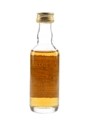 Benriach 1969 Connoisseurs Choice Bottled 1990s - Gordon & MacPhail 5cl / 40%