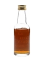 Wild Turkey Bottled 1980s - Austin Nichols 5cl / 40%