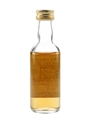 Dailuaine 1971 Connoisseurs Choice Bottled 1990s - Gordon & MacPhail 5cl / 40%