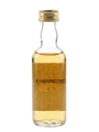 Tormore 10 Year Old Bottled 1990s 5cl / 43%