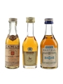 Camus Signature, Hine Signature &  Martell 3 Star Bottled 1970s-1980s 3 x 3cl / 40%