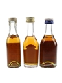 Camus Signature, Hine Signature &  Martell 3 Star Bottled 1970s-1980s 3 x 3cl / 40%