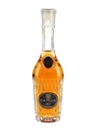 Camus XO  5cl / 40%