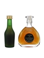 Camus XO & Napoleon  2 x 3cl-5cl / 40%
