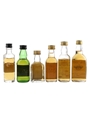Assorted Blended Scotch Whisky Antiquary 12 Year Old, Black Bottle, House Of Lords 8 Year Old, Tax Collector, Teacher's Highland Cream & Queen Anne 6 x 5cl / 40%