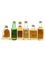 Assorted Blended Scotch Whisky Bell's Extra Special, John Barr, Keswick Mist, Inebriated Newt, The Whisky Of 1990 & Whyte & Mackay Special Reserve 6 x 5cl / 40%