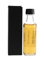 Ardbeg Scorch Trade Sample 10cl / 46%