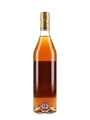 Delamain 1995 Landed 1996, Bottled 2013 -  Bristol Spirts 70cl / 40%